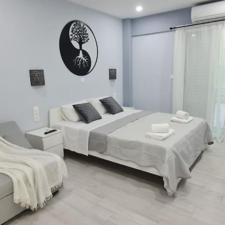 אתונה Cozy Apartment With Garden Near Town Center, Fully Renovated. מראה חיצוני תמונה