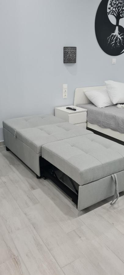 אתונה Cozy Apartment With Garden Near Town Center, Fully Renovated. מראה חיצוני תמונה