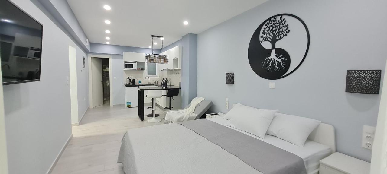 אתונה Cozy Apartment With Garden Near Town Center, Fully Renovated. מראה חיצוני תמונה